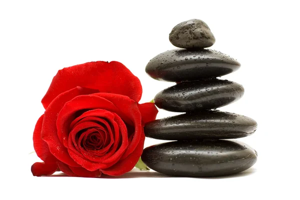 Κόκκινο τριαντάφυλλο και σπα μαύρες πέτρες απομονώνονται σε λευκό φόντο — Φωτογραφία Αρχείου