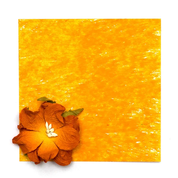 Yellow painting paper with flower on white background — Stock Photo, Image