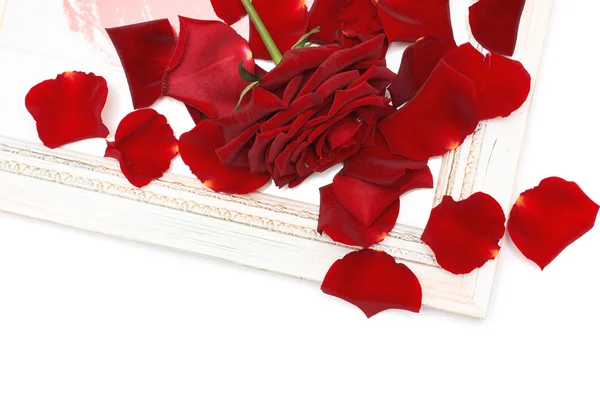 Rote Rosen, Blütenblätter und Vintage-Holzrahmen in der Ecke auf weiß — Stockfoto