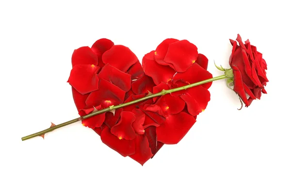 Rosa roja y pétalos. Corazón - concepto del Día de San Valentín — Foto de Stock