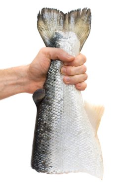 Erkek el ile Somon Balık omega-3 içeren