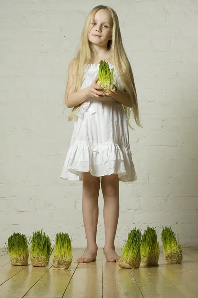La muchacha hermosa primaveral sobre la hierba en las manos - el amor de la naturaleza —  Fotos de Stock