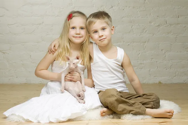 Young smiling couple - little girl and boy - with kitten sphynx — Stock Photo, Image