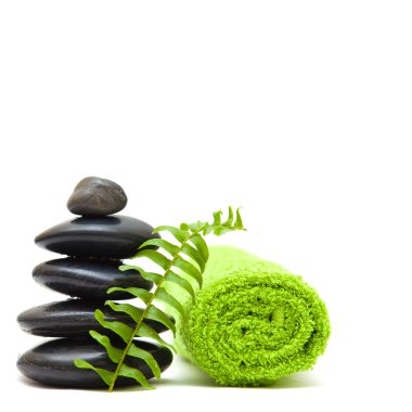 Zen concept with green leaves - alternative medicine clipart