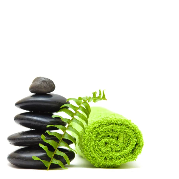 Zen concept with green leaves - alternative medicine — Stock Photo, Image