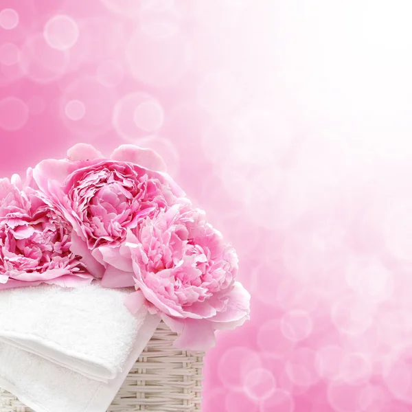 Frühling Hintergrund mit rosa Blumen — Stockfoto