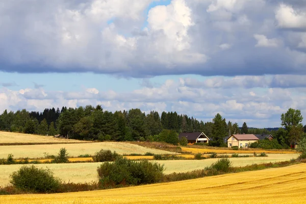 stock image Beautiful Scandinavian landscape - field and farm