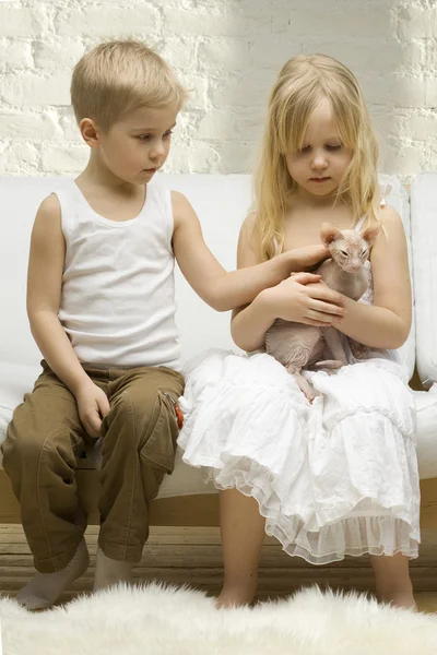 Children with kitten in daylight at home — Stock Photo, Image