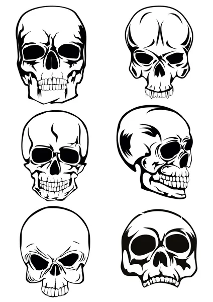 Rotting Stock Vectors, Royalty Free Rotting Illustrations | Depositphotos®