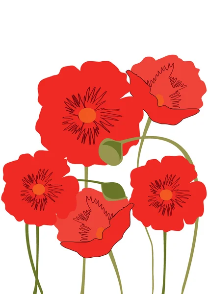 Las flores de amapola — Archivo Imágenes Vectoriales