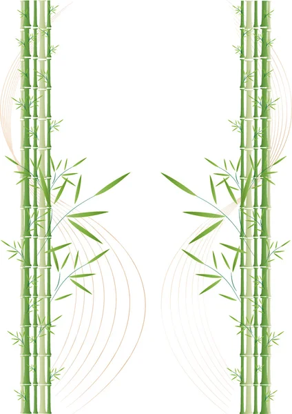 La ilustración de bambú para bacground — Vector de stock