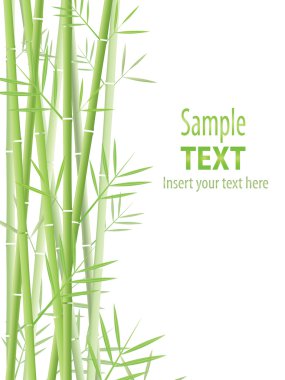 Bamboo background clipart