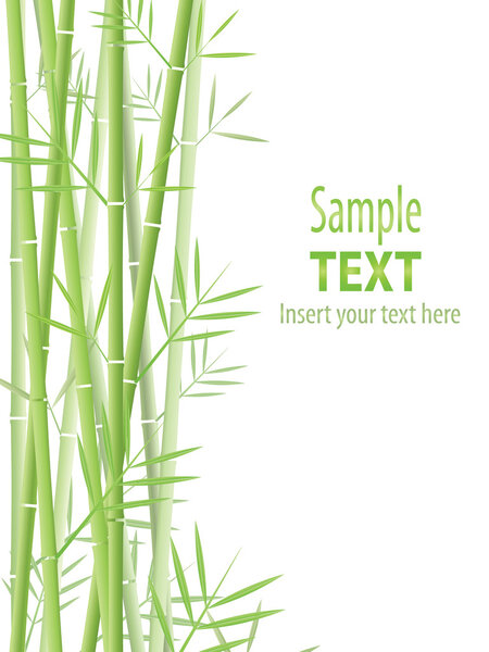 Bamboo background