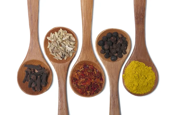 Various Spices Wooden Spoon Isolated White — Stock Photo, Image