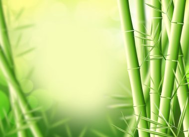 Bamboo clipart