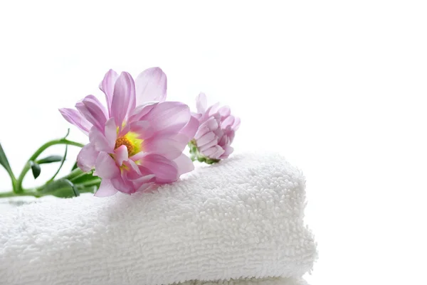 Clean towel — Stock Photo, Image