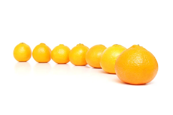 Row Ripe Mandarins Isolated White Background — Stock Photo, Image