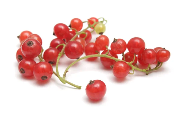 Three Clusters Red Currant Single Berry Isolated White — Stock Photo, Image