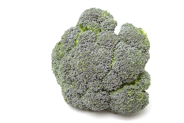 Stock image Broccoli