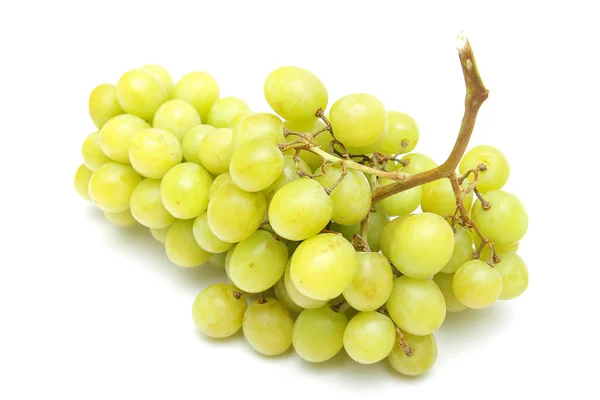 stock image Grapes