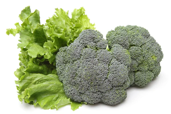 Brokkoli és saláta Stock Kép