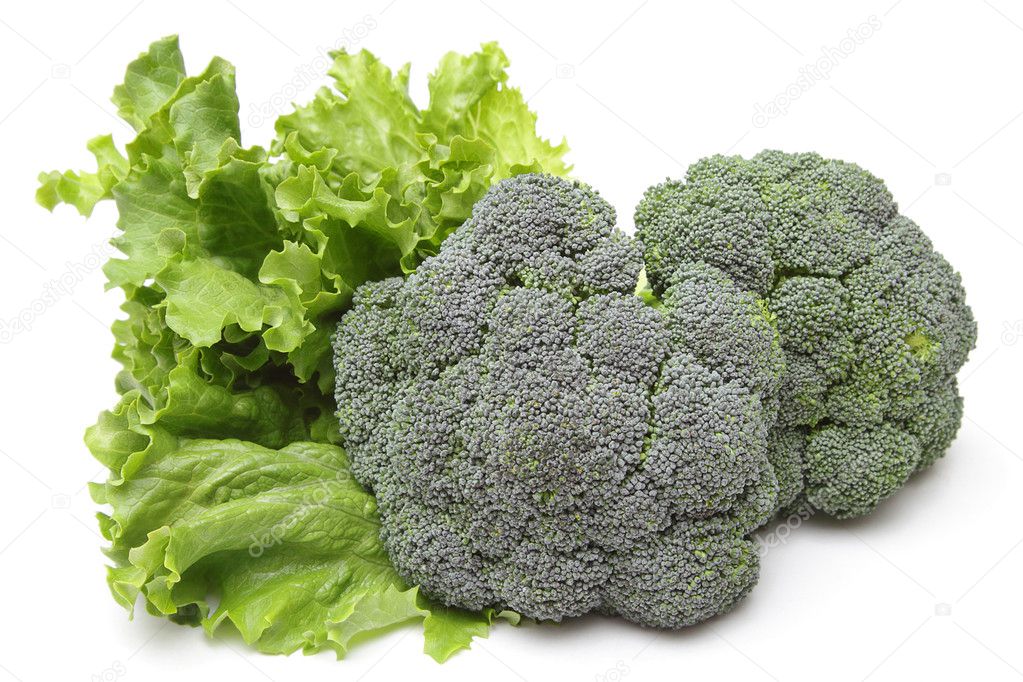 Broccoli and lettuce Stock Photo by ©pulen2811 5108081
