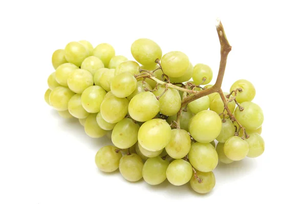 stock image Grapes