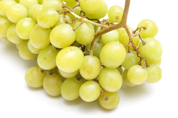 stock image Grapes