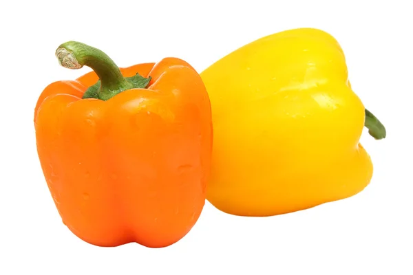 Peppers isolated — Stock Photo, Image