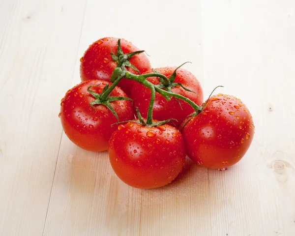 Taze güzellik domates — Stok fotoğraf