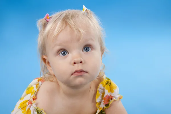 Pequena menina adorável em um fundo azul . — Fotografia de Stock