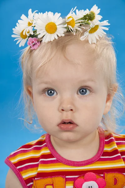 Маленькая милая девочка на синем фоне . — стоковое фото