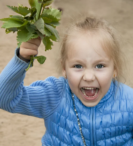 Дівчина тримає букет листя і криків — стокове фото