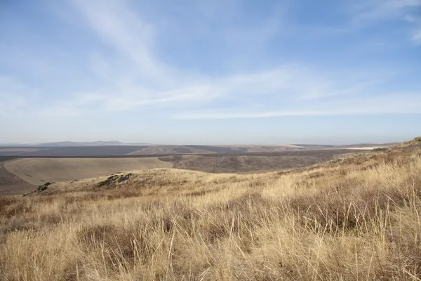 stock image Tranquil autumn landscape. Steppe Kazakhstan.