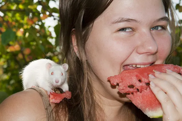 Girl and its white rat eats a water-melon — Stock Photo, Image