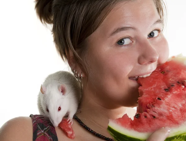 Menina e seu aluno (rato branco) come uma melancia — Fotografia de Stock