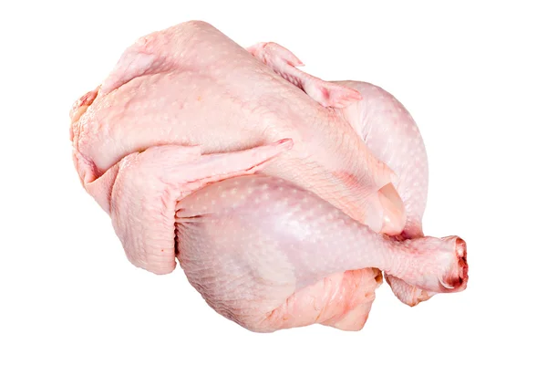 Çiğ Tavuk Beyaz Bir Arka Plan Üzerinde Izole — Stok fotoğraf