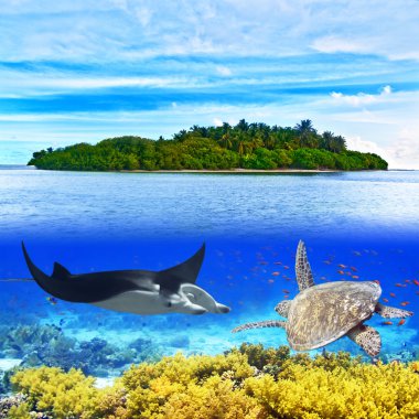 Maldives clipart