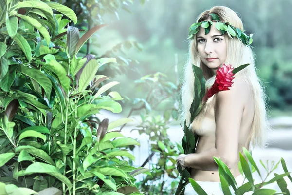Красива Жінка Лісова Німфа Річці — стокове фото
