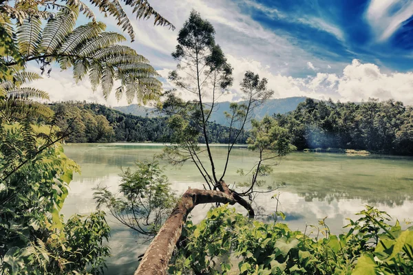 Lago Telaga Warna — Foto de Stock