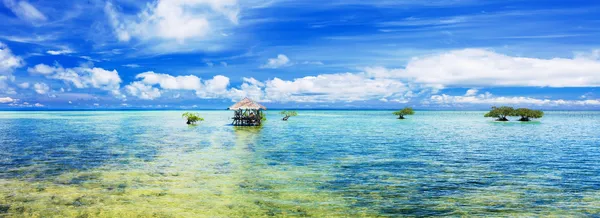 Tropical panorama — Stock Photo, Image