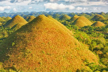 Chocolate Hills clipart