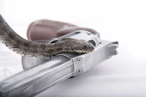 The snake creeps on a handgun — Stock Photo, Image