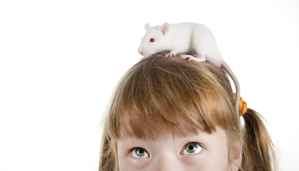 Close-up girl with a rat on her head — Stock Photo, Image