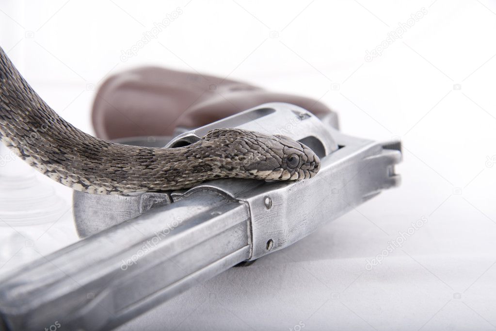 The snake creeps on a handgun