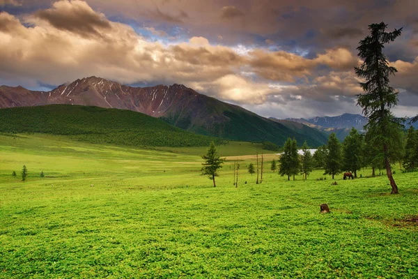 Mountain landscape — Stock Photo, Image
