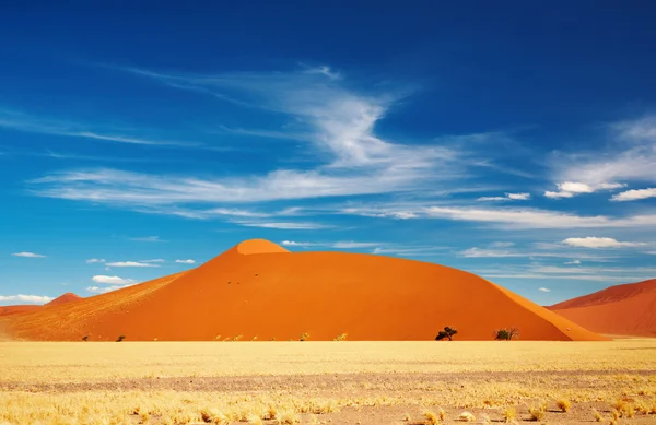Намиб — стоковое фото