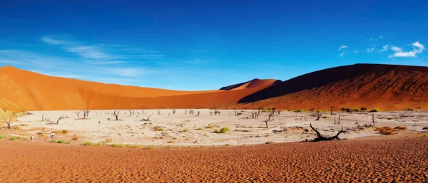 Deserto do Namib, Sossusvlei, Namíbia — Fotografia de Stock