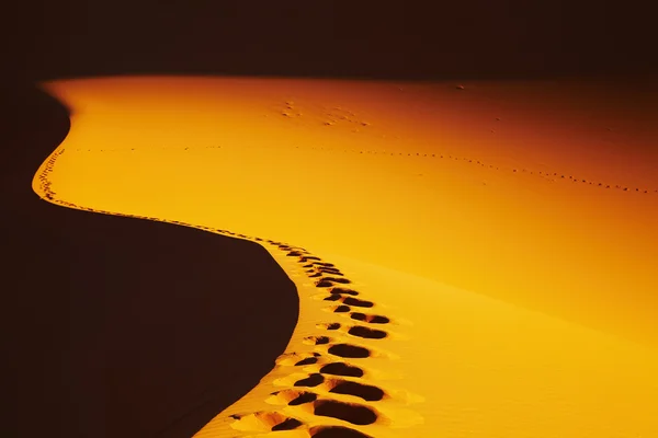 Empreintes de pas sur dune de sable — Photo