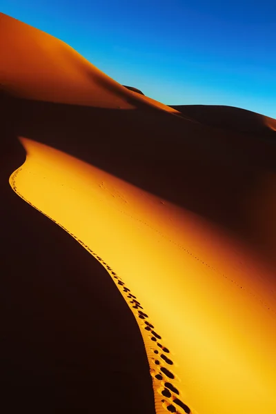 Duna Areia Com Pegadas Nascer Sol Deserto Saara Argélia — Fotografia de Stock